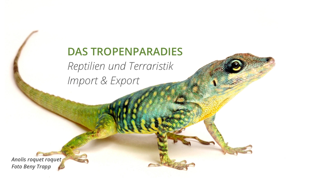 (c) Tropenparadies.org